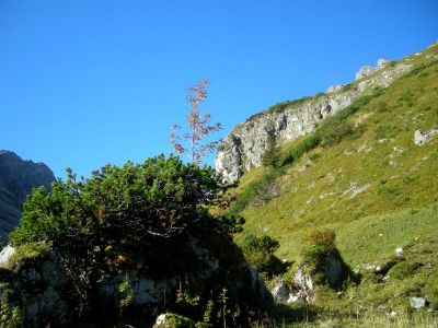 001-Im Warmatsgundbachtal auf dem Krumbacher Hoehenweg 